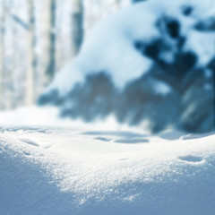 Fototapeta na wymiar Winter christmas landscape, winter abstract background