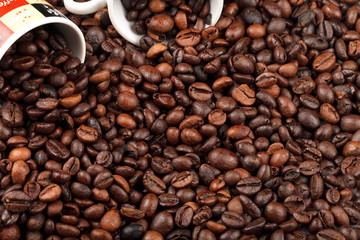 Beans roasted coffee. Close-up