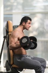 Biceps Exercise With Dumbbell in a Gym