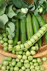 Fresh organic green peas