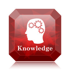 Knowledge icon