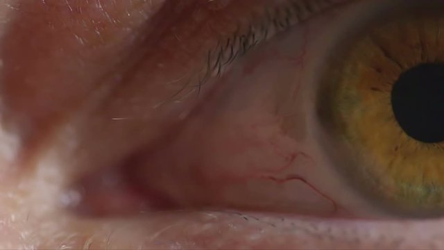 Extreme macro shot of a young adults eye in super slow motion. Can see the eye moving and wobbling around