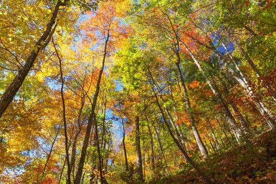 Fall at South Mountains State Park