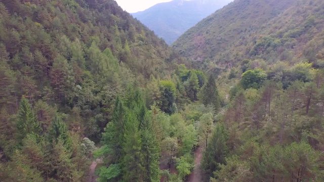 Flight on the mountain path hidden among the trees
Drone on the mountains in a mild winter