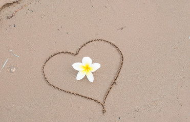 Heart drawn in the sand