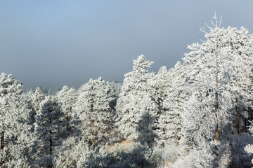Frosty Pikes Peak