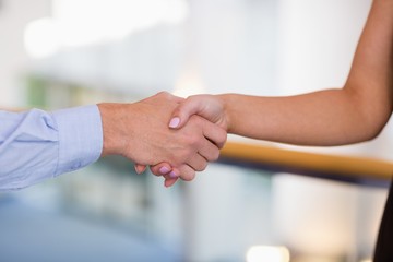 Fototapeta na wymiar Business executives shaking hands with each other