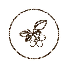 monochrome round contour with coffee tree branch vector illustration