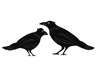 カラスの親子
