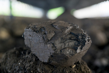 Soil Process in Coal Mine