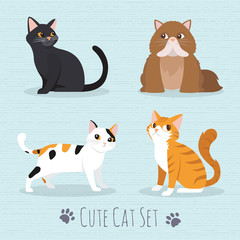 Cute Cats Breed