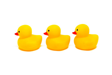 Yellow rubber ducks