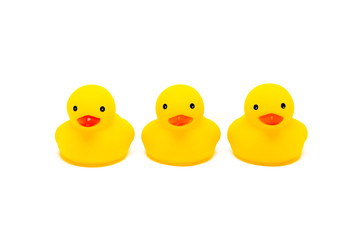 Yellow rubber ducks