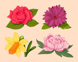 Vintage flowers vector illustration.