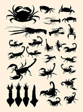 Crabs, lobster, scorpion, squid animal silhouette. Good use for symbol, logo, web icon, mascot, sign, or any design you want.