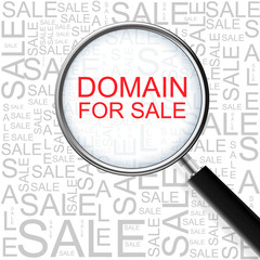 Domain For Sale. Magnifying glass over seamless background with different association terms. Business Concept.