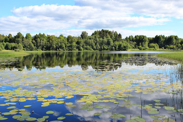 lake of lilien