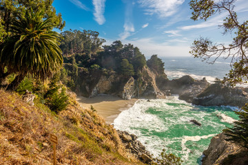 USA Pacific coast beach landscape, California