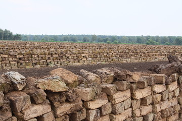 Torf lagert nach Abbau auf einem Torffeld