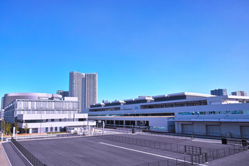 豊洲青果物市場