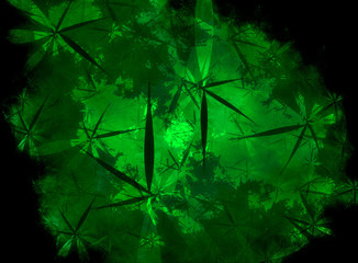 Obraz premium Amazon Canopy