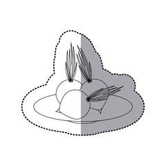 Fresh onions vegetables icon vector illustration graphic design