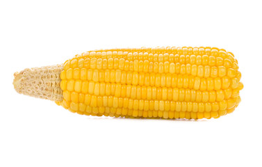 Corn isolated on a white background