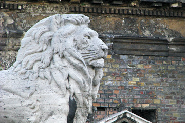 Lion sculpture at downtown in Budapest, Hungary.