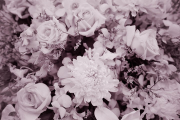 Sweet flowers bouquet, sepia toned for background.