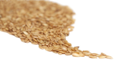  Flax Seeds