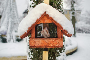 Bird feeder hanging on a tree