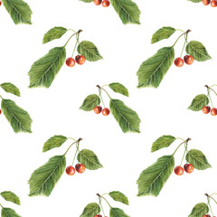 Fototapety  Berries and leaves cherry on white background. Watercolor hand made. Seamless colorful pattern