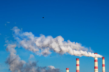 Smoke from the chimneys of the plant against the blue sky