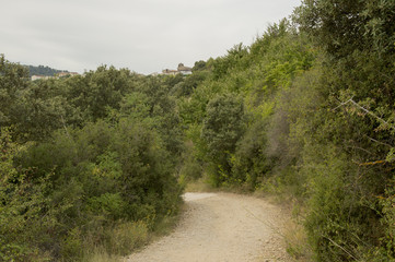Camino de Santiago from Puente la reina to Estella