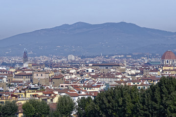 aerialview of florence
