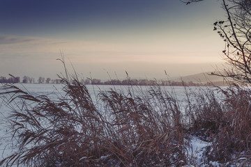 Winter Wonderland