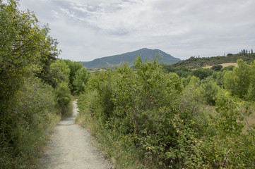 Camino de Santiago from Puente la reina to Estella