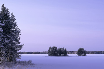 Frozen lake in winter in the snow