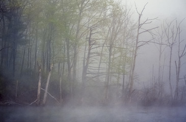 Obraz na płótnie Canvas Harriman State Park, New York State