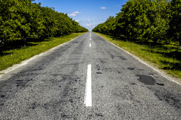 Moldova, Cricova, straight asphalt road, Chisinau area