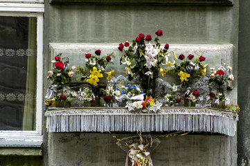 Lviv, house, flower Altar, Ukraine, Western Ukraine