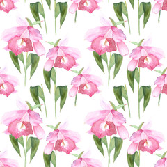 Pink orchid, cattleya on white background. Seamless watercolor pattern