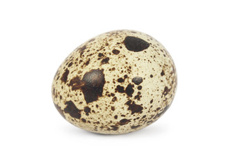 Quail egg