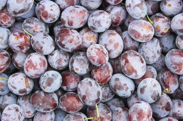 Ripe plums background