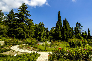 Crimea, world famous botanical garden of Nikita, Ukraine, Jalta