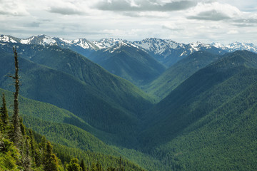 Fototapeta na wymiar Hurricane Ridge of Olympic National Park, WA, USA