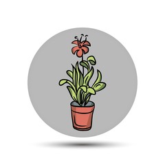 red flower in a pot. vector icon on gray background