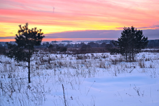 landscape with the image of winter evening at sunset