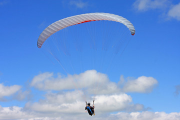 Paraglider