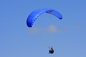 Paraglider